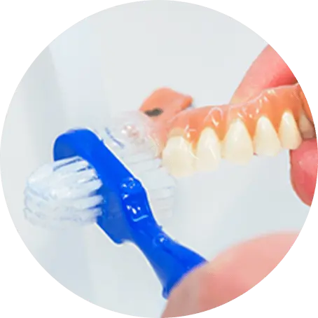 取り外しタイプの入れ歯をブラシで掃除している画像