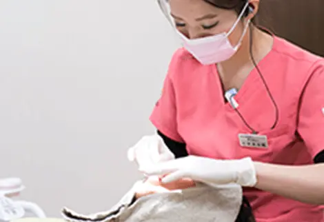 女性歯科医が歯の検査をしている画像