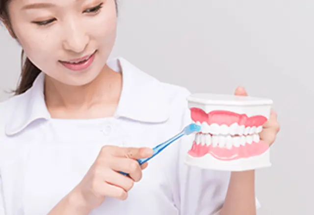 看護師の女性が歯の模型を使って歯磨きの見本を見せている画像
